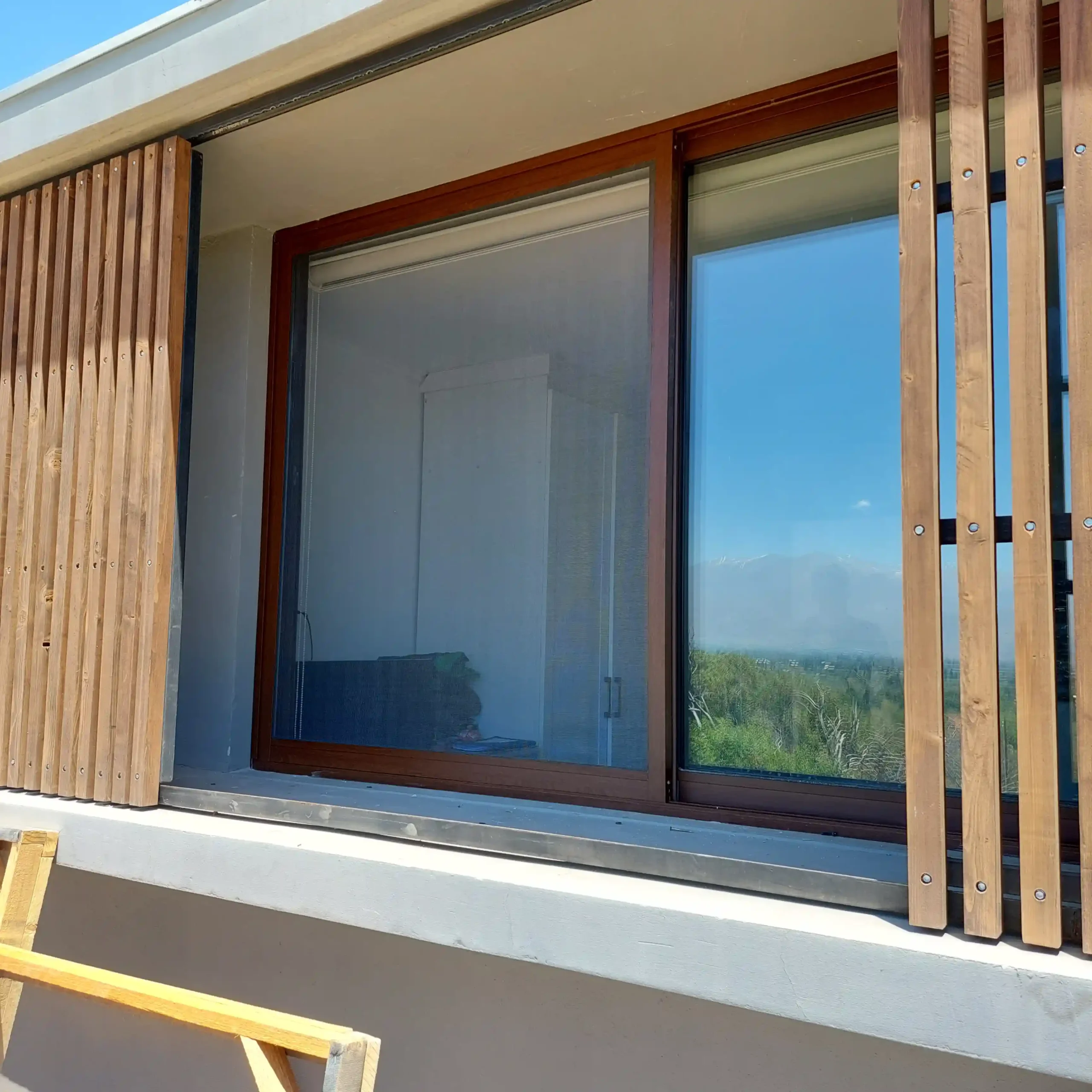 mosquitero-en-ventana